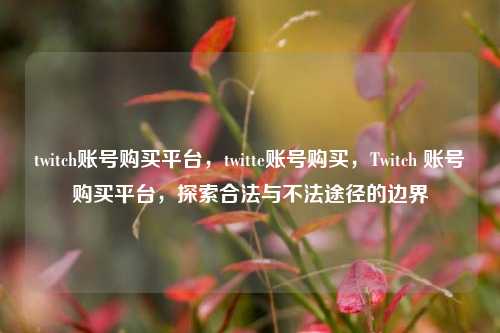 twitch账号购买平台，twitte账号购买，Twitch 账号购买平台，探索合法与不法途径的边界