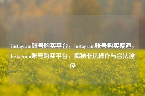 instagram账号购买平台，instagram账号购买渠道，Instagram账号购买平台，揭秘非法操作与合法途径