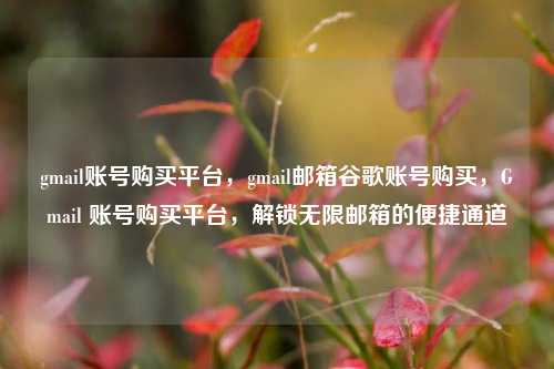 gmail账号购买平台，gmail邮箱谷歌账号购买，Gmail 账号购买平台，解锁无限邮箱的便捷通道