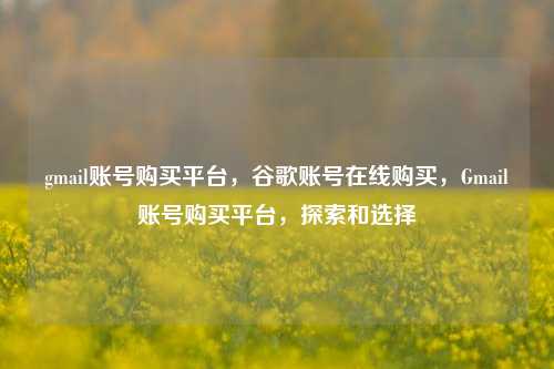 gmail账号购买平台，谷歌账号在线购买，Gmail账号购买平台，探索和选择