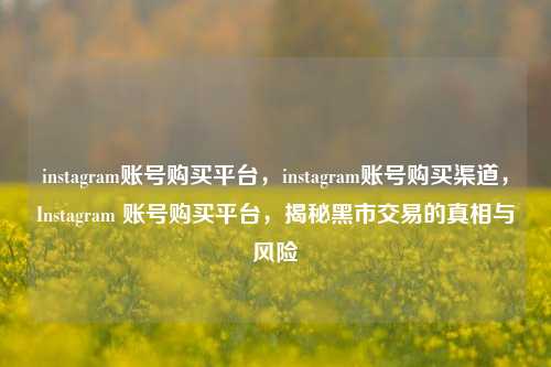 instagram账号购买平台，instagram账号购买渠道，Instagram 账号购买平台，揭秘黑市交易的真相与风险