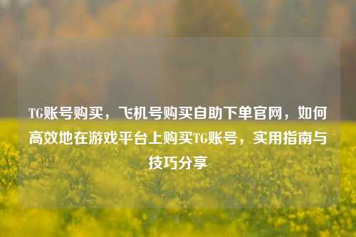 TG账号购买，飞机号购买自助下单官网，如何高效地在游戏平台上购买TG账号，实用指南与技巧分享