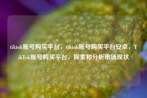tiktok账号购买平台，tiktok账号购买平台安卓，TikTok账号购买平台，探索和分析市场现状