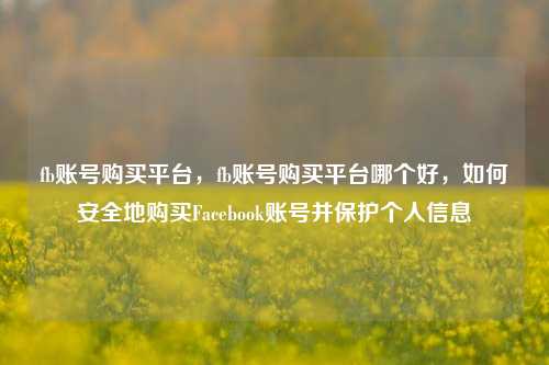 fb账号购买平台，fb账号购买平台哪个好，如何安全地购买Facebook账号并保护个人信息