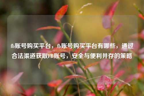 fb账号购买平台，fb账号购买平台有哪些，通过合法渠道获取FB账号，安全与便利并存的策略