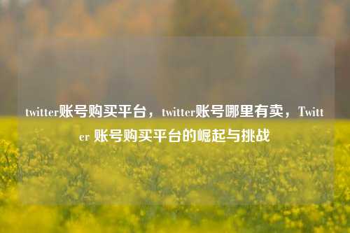 twitter账号购买平台，twitter账号哪里有卖	，Twitter 账号购买平台的崛起与挑战  第1张
