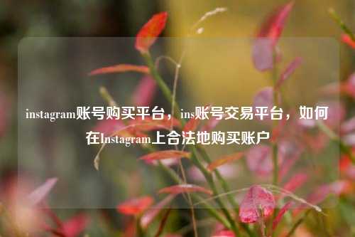 instagram账号购买平台，ins账号交易平台，如何在Instagram上合法地购买账户