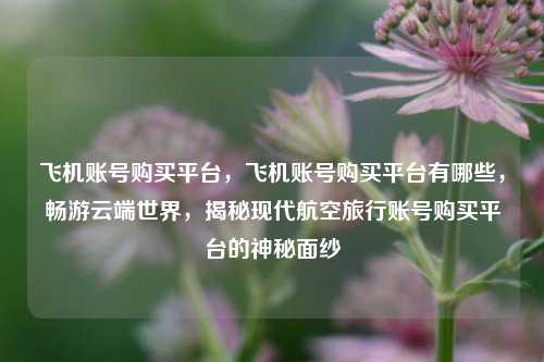 飞机账号购买平台，飞机账号购买平台有哪些，畅游云端世界，揭秘现代航空旅行账号购买平台的神秘面纱
