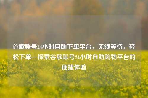 谷歌账号24小时自助下单平台，无须等待，轻松下单—探索谷歌账号24小时自助购物平台的便捷体验