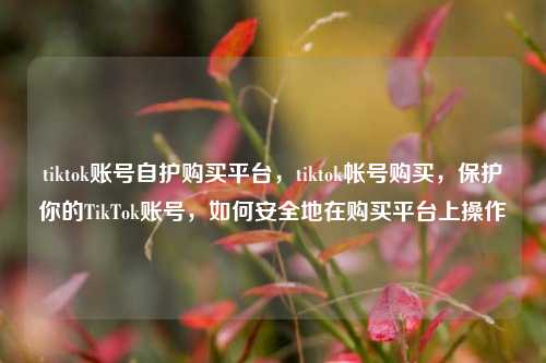 tiktok账号自护购买平台，tiktok帐号购买，保护你的TikTok账号，如何安全地在购买平台上操作