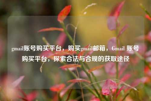 gmail账号购买平台，购买gmail邮箱，Gmail 账号购买平台，探索合法与合规的获取途径