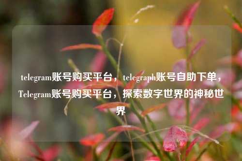 telegram账号购买平台，telegraph账号自助下单，Telegram账号购买平台，探索数字世界的神秘世界