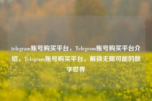 telegram账号购买平台，Telegram账号购买平台介绍，Telegram账号购买平台，解锁无限可能的数字世界