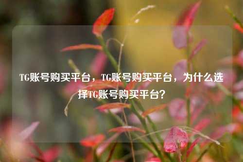 TG账号购买平台，TG账号购买平台，为什么选择TG账号购买平台？