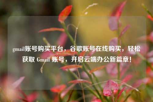 gmail账号购买平台，谷歌账号在线购买，轻松获取 Gmail 账号，开启云端办公新篇章！