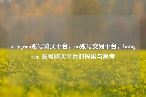 instagram账号购买平台，ins账号交易平台，Instagram 账号购买平台的探索与思考