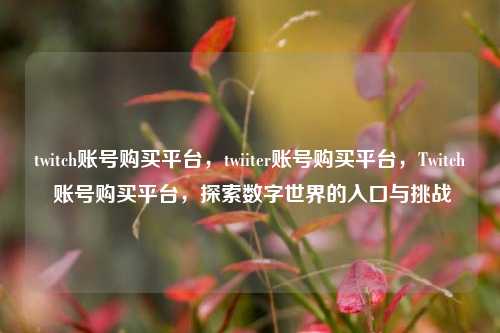 twitch账号购买平台，twiiter账号购买平台，Twitch 账号购买平台，探索数字世界的入口与挑战