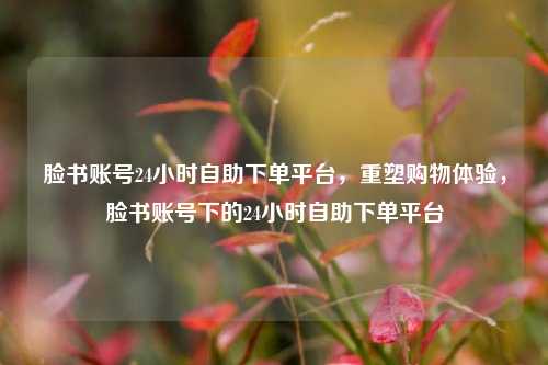 脸书账号24小时自助下单平台，重塑购物体验，脸书账号下的24小时自助下单平台