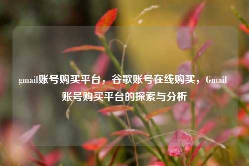 gmail账号购买平台，谷歌账号在线购买，Gmail 账号购买平台的探索与分析