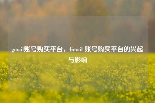 gmail账号购买平台，Gmail 账号购买平台的兴起与影响