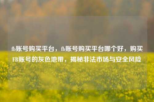 fb账号购买平台，fb账号购买平台哪个好，购买FB账号的灰色地带，揭秘非法市场与安全风险