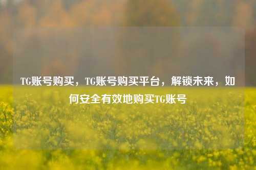 TG账号购买，TG账号购买平台，解锁未来，如何安全有效地购买TG账号