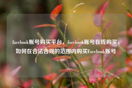 facebook帐号购买平台，facebook账号在线购买	，如何在合法合规的范围内购买Facebook账号  第1张