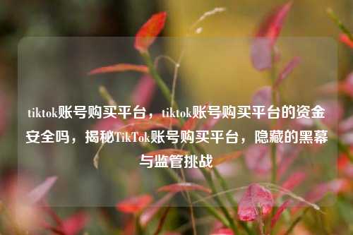 tiktok账号购买平台，tiktok账号购买平台的资金安全吗，揭秘TikTok账号购买平台，隐藏的黑幕与监管挑战