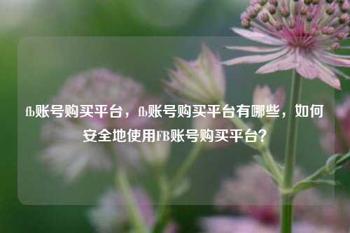 fb账号购买平台，fb账号购买平台有哪些，如何安全地使用FB账号购买平台？