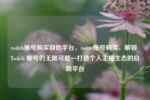 twitch账号购买自助平台，twitte账号购买，解锁 Twitch 账号的无限可能—打造个人主播生态的自助平台