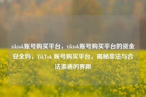 tiktok账号购买平台，tiktok账号购买平台的资金安全吗，TikTok 账号购买平台，揭秘非法与合法渠道的界限