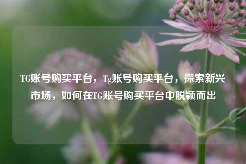 TG账号购买平台	，Tg账号购买平台，探索新兴市场，如何在TG账号购买平台中脱颖而出  第1张