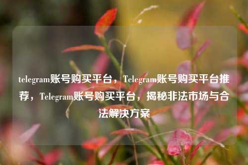 telegram账号购买平台，Telegram账号购买平台推荐，Telegram账号购买平台，揭秘非法市场与合法解决方案