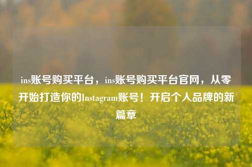ins账号购买平台，ins账号购买平台官网，从零开始打造你的Instagram账号！开启个人品牌的新篇章