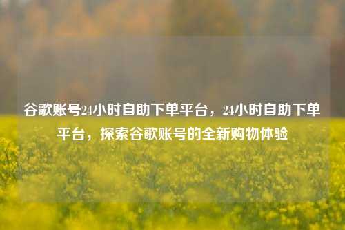 谷歌账号24小时自助下单平台，24小时自助下单平台，探索谷歌账号的全新购物体验