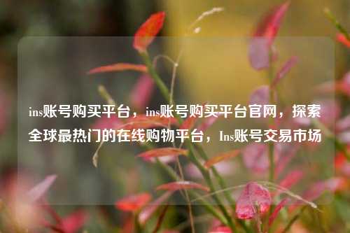 ins账号购买平台，ins账号购买平台官网，探索全球最热门的在线购物平台，Ins账号交易市场