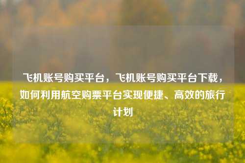 飞机账号购买平台，飞机账号购买平台下载，如何利用航空购票平台实现便捷、高效的旅行计划