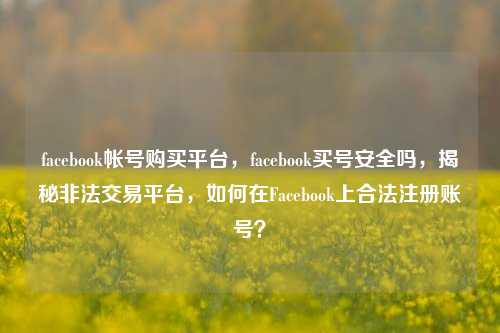 facebook帐号购买平台，facebook买号安全吗，揭秘非法交易平台，如何在Facebook上合法注册账号？