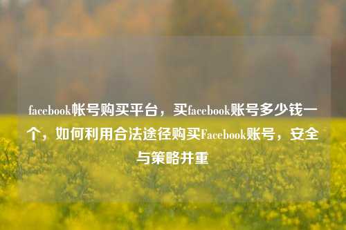 facebook帐号购买平台，买facebook账号多少钱一个，如何利用合法途径购买Facebook账号，安全与策略并重