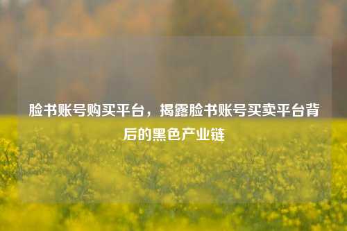脸书账号购买平台，揭露脸书账号买卖平台背后的黑色产业链