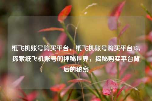 纸飞机账号购买平台，纸飞机账号购买平台15，探索纸飞机账号的神秘世界，揭秘购买平台背后的秘密