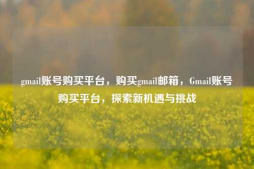 gmail账号购买平台，购买gmail邮箱，Gmail账号购买平台，探索新机遇与挑战