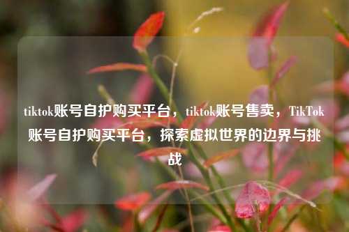 tiktok账号自护购买平台，tiktok账号售卖，TikTok账号自护购买平台，探索虚拟世界的边界与挑战
