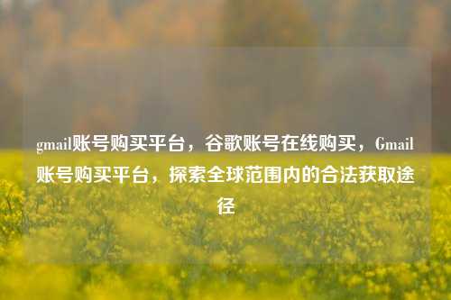 gmail账号购买平台，谷歌账号在线购买，Gmail账号购买平台，探索全球范围内的合法获取途径