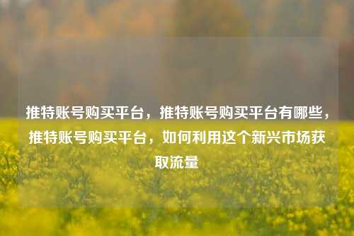 推特账号购买平台，推特账号购买平台有哪些，推特账号购买平台，如何利用这个新兴市场获取流量