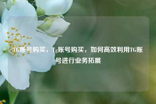 TG账号购买，Tg账号购买，如何高效利用TG账号进行业务拓展