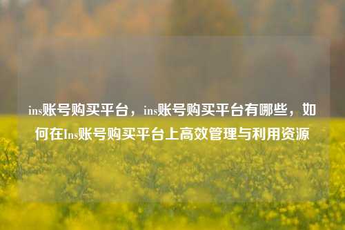 ins账号购买平台，ins账号购买平台有哪些，如何在Ins账号购买平台上高效管理与利用资源
