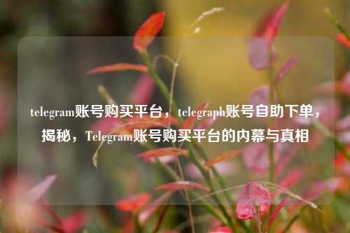 telegram账号购买平台，telegraph账号自助下单，揭秘，Telegram账号购买平台的内幕与真相