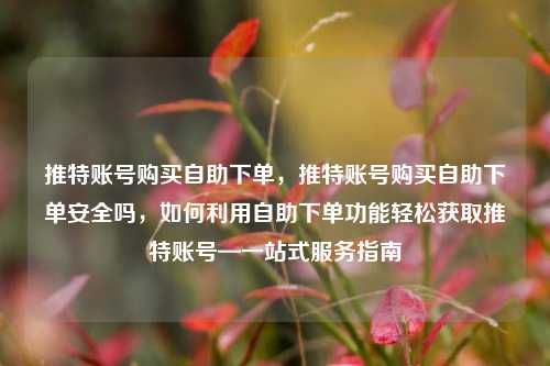 推特账号购买自助下单，推特账号购买自助下单安全吗，如何利用自助下单功能轻松获取推特账号—一站式服务指南