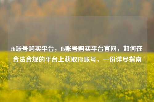 fb账号购买平台，fb账号购买平台官网，如何在合法合规的平台上获取FB账号，一份详尽指南